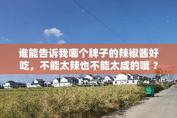谁能告诉我哪个牌子的辣椒酱好吃，不能太辣也不能太咸的哦 ？
