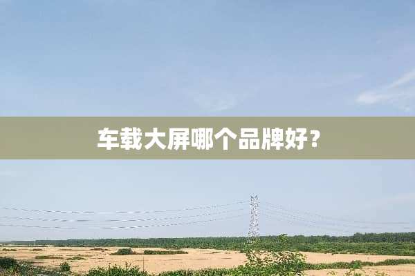 车载大屏哪个品牌好？