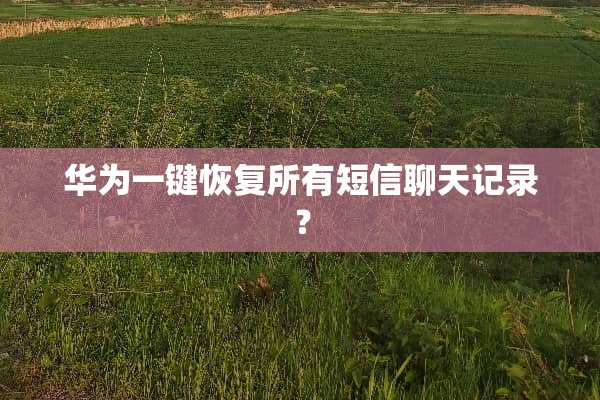 华为一键恢复所有短信聊天记录？