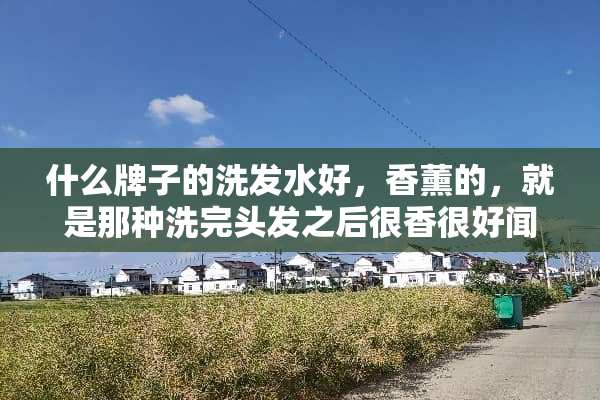 什么牌子的洗发水好，香薰的，就是那种洗完头发之后很香很好闻的那种？