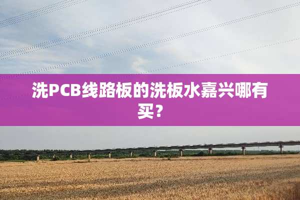 洗*****板的洗板水嘉兴哪有买？