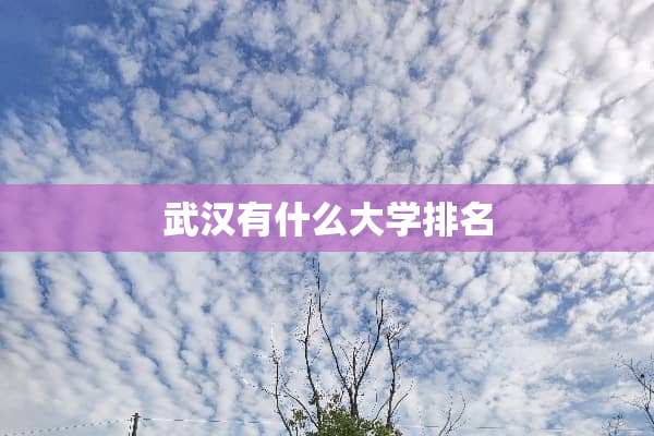 武汉有什么大学排名