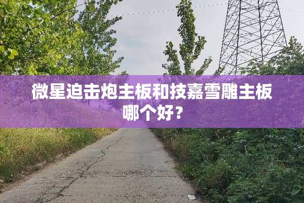 微星迫击*主板和技嘉雪雕主板哪个好？