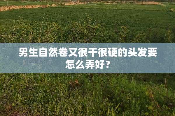 男生自然卷又很干很硬的头发要怎么弄好？