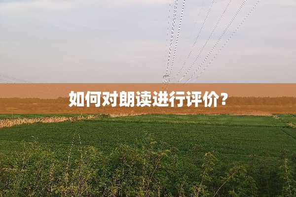 如何对朗读进行评价？
