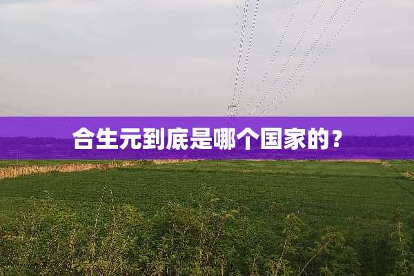 合生元到底是哪个国家的？