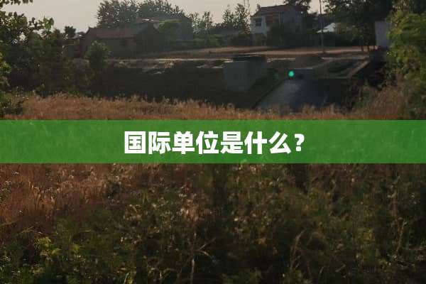 国际单位是什么？