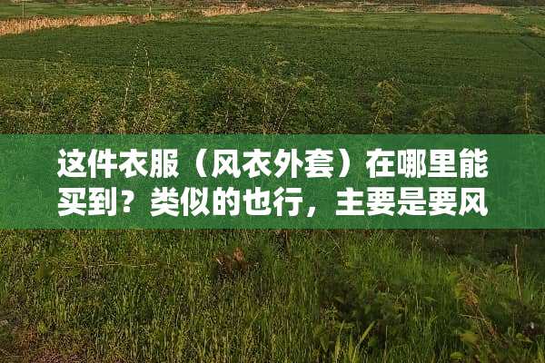 这件衣服（风衣外套）在哪里能买到？类似的也行，主要是要风格相近，价格和品牌不限。