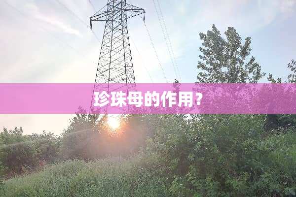 珍珠母的作用？