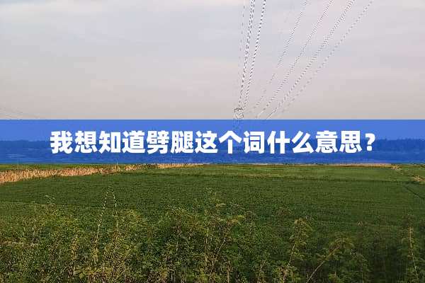 我想知道劈腿这个词什么意思？