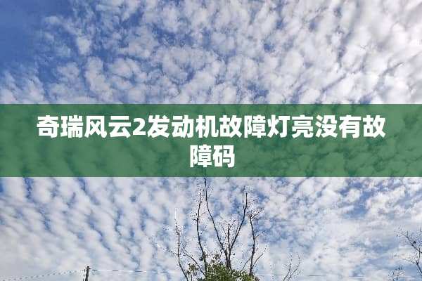 奇瑞风云2发动机故障灯亮没有故障码