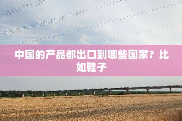 中国的产品都出口到哪些国家？比如鞋子