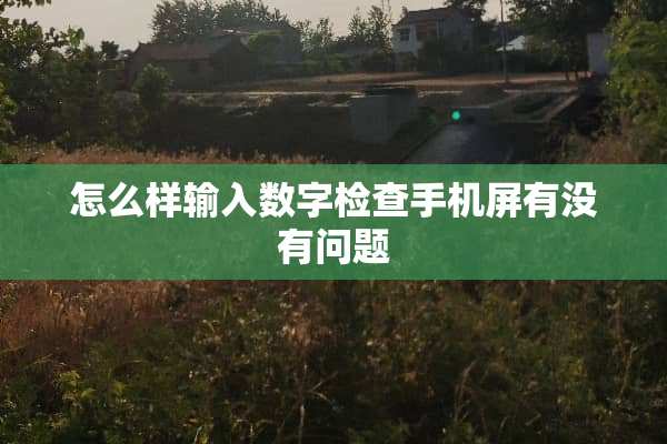 怎么样输入数字检查手机屏有没有问题