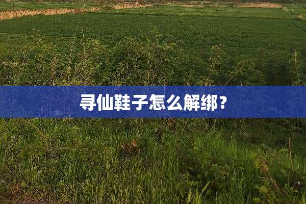 寻仙鞋子怎么解绑？