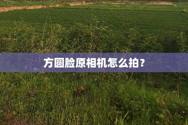 方圆脸原相机怎么拍？