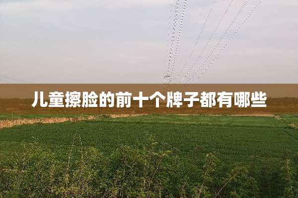 儿童擦脸的前十个牌子都有哪些