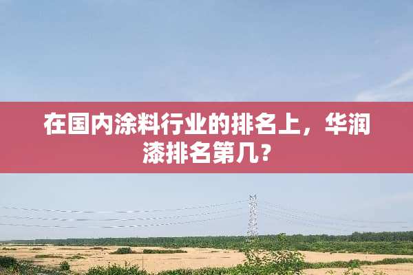 在国内涂料行业的排名上，华润漆排名第几？