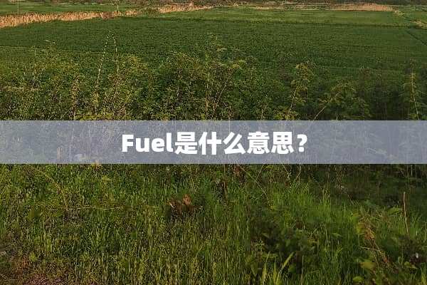 Fuel是什么意思？