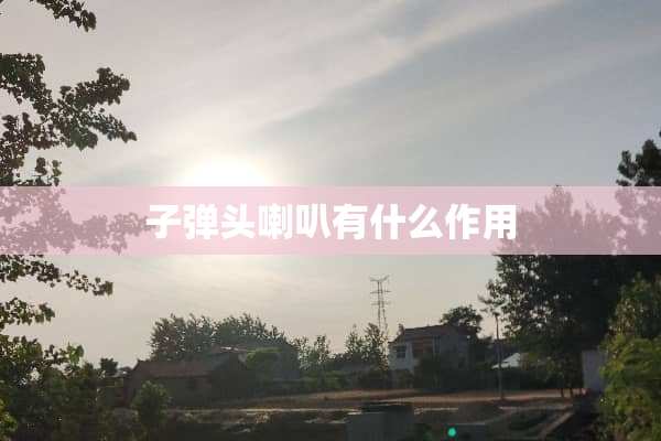 **头喇叭有什么作用