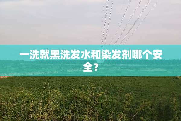 一洗就黑洗发水和染发剂哪个安全？