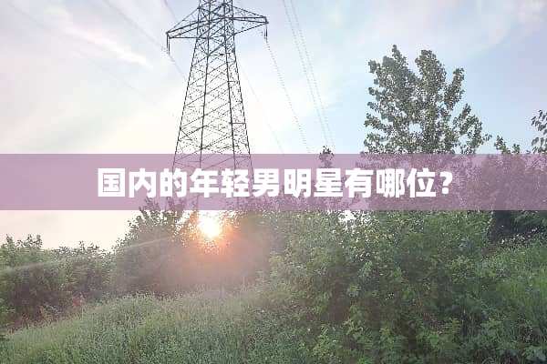 国内的年轻男明星有哪位？