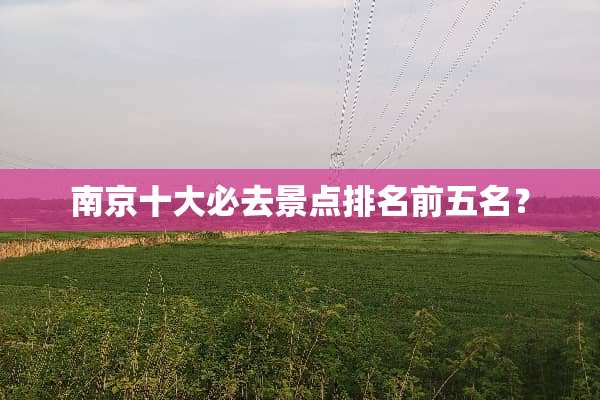 南京十大必去景点排名前五名？