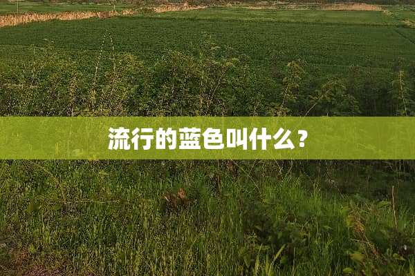 流行的蓝色叫什么？