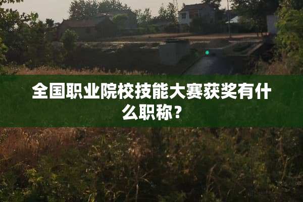 全国职业院校技能大赛获奖有什么职称？