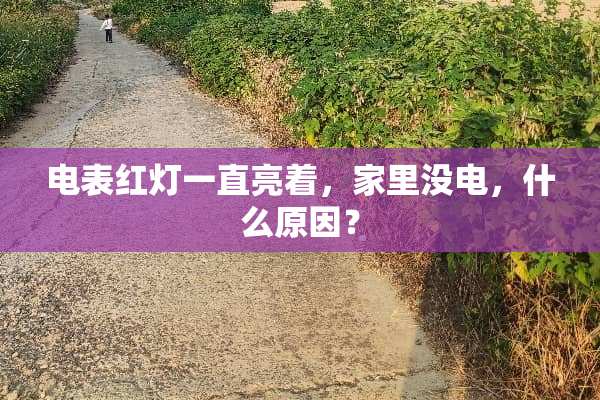 电表红灯一直亮着，家里没电，什么原因？