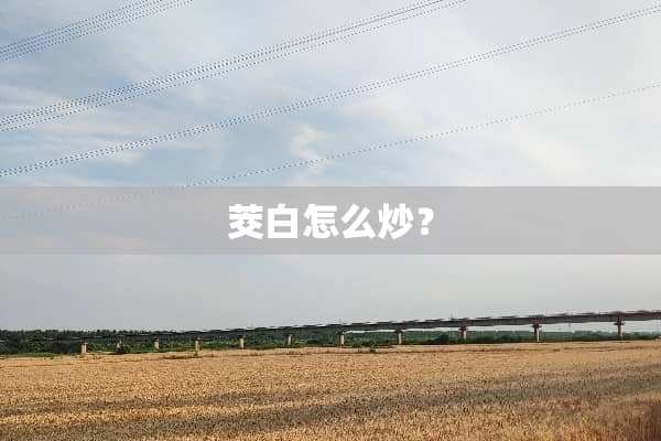 茭白怎么炒？