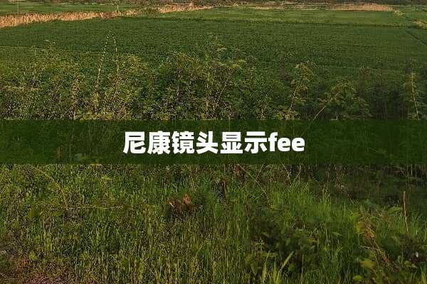 尼康镜头显示fee