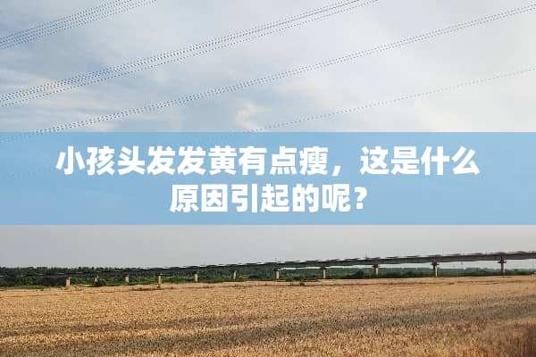 小孩头发发黄有点瘦，这是什么原因引起的呢？
