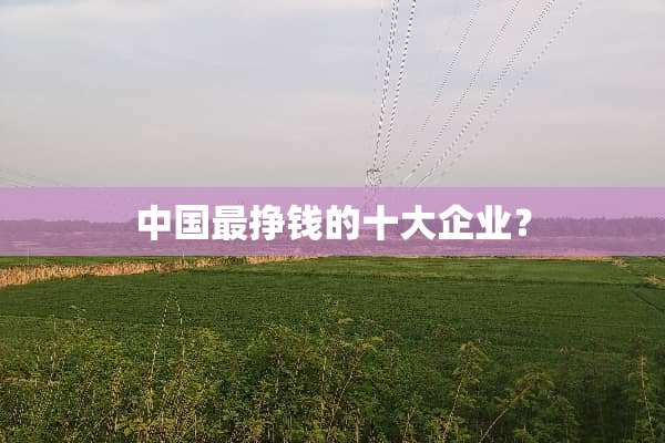 中国最挣钱的十大企业？