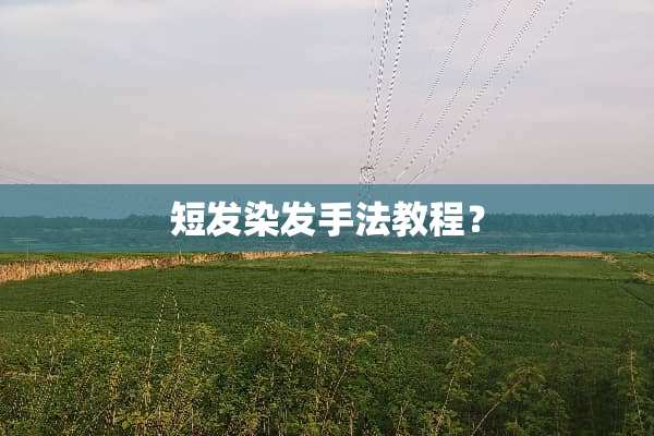 短发染发手法教程？
