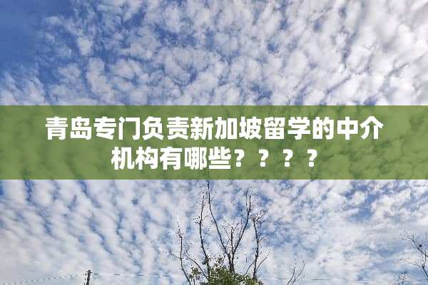 青岛专门负责新加坡留学的中介机构有哪些？？？？