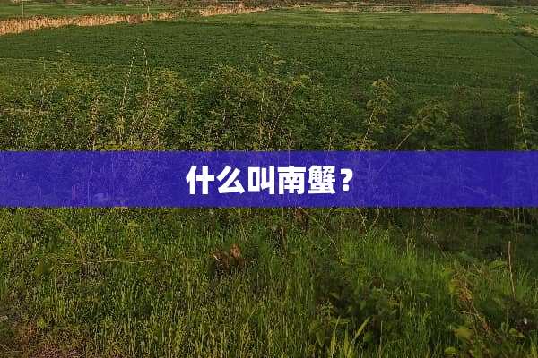 什么叫南蟹？