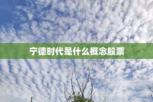 宁德时代是什么概念股票