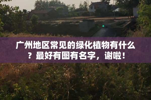 广州地区常见的绿化植物有什么？最好有图有名字，谢啦！