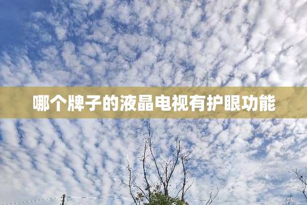 哪个牌子的液晶电视有护眼功能