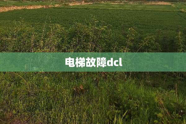 电梯故障dcl