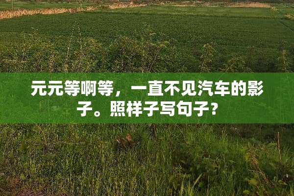 元元等啊等，一直不见汽车的影子。照样子写句子？