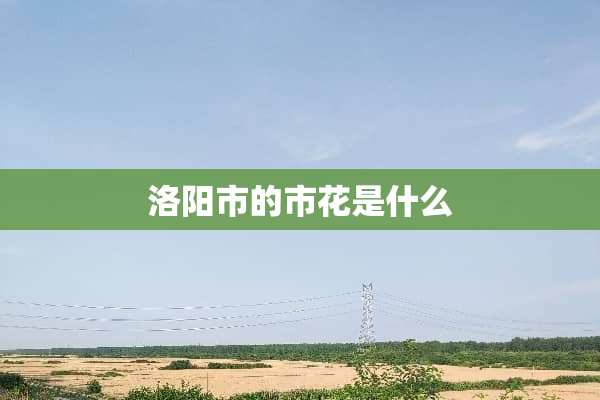 洛阳市的市花是什么