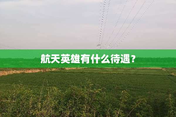 航天英雄有什么待遇？