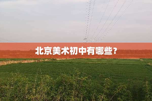 北京美术初中有哪些？