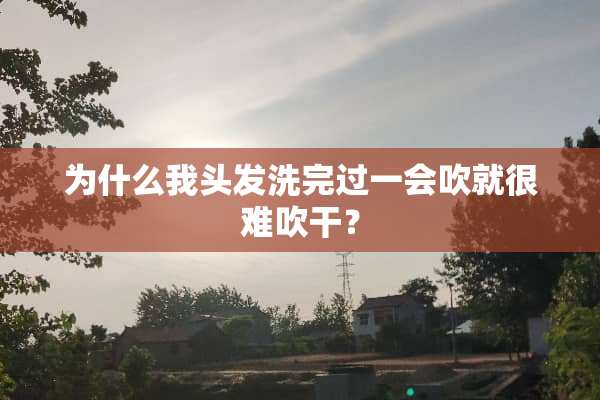 为什么我头发洗完过一会吹就很难吹干？