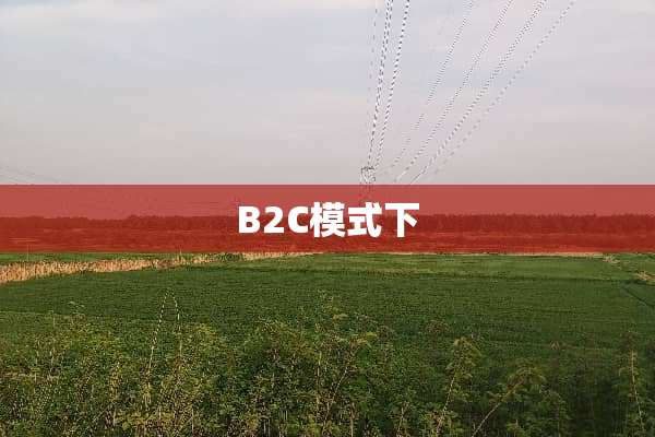 B2C模式下