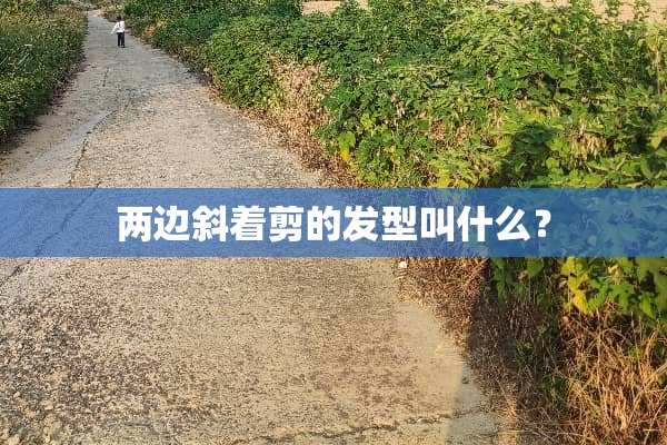 两边斜着剪的发型叫什么？