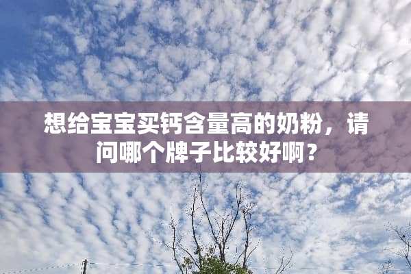 想给宝宝买钙含量高的奶粉，请问哪个牌子比较好啊？