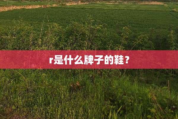 r是什么牌子的鞋？