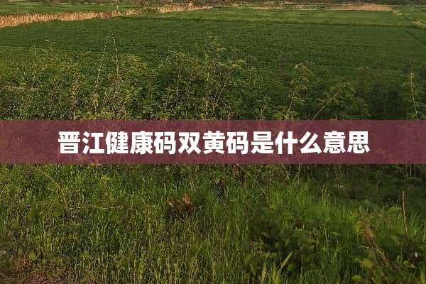 晋江健康码双黄码是什么意思